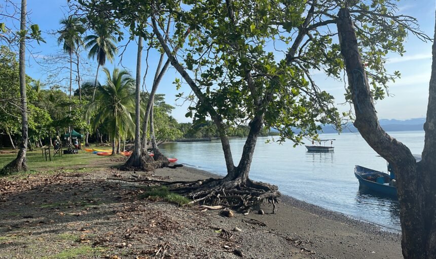 Day Two: When the real fun begins