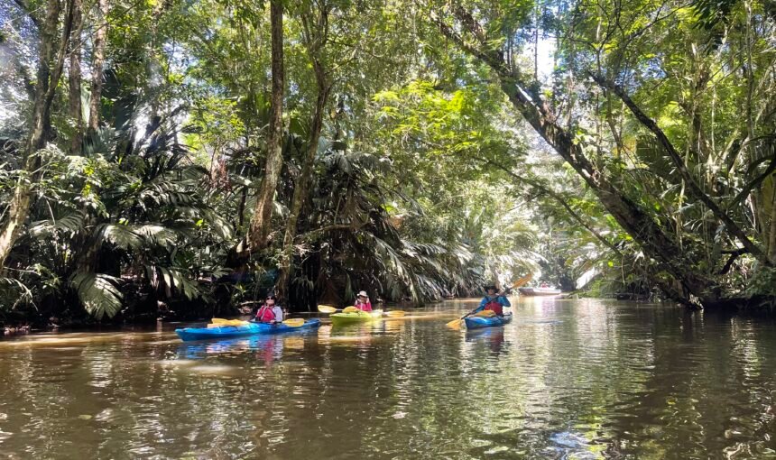 Tortuguero, The Little Amazon of Costa Rica!